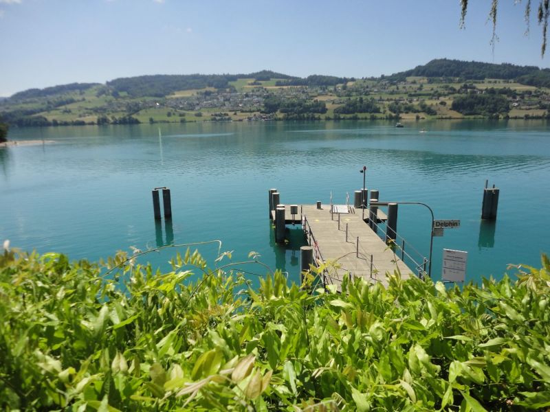 Bewohnenden-Ausflüge an den Hallwilersee